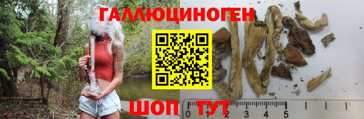 Псилоцибиновые грибы Magic Shrooms  Вход с VPN  Верхняя Салда  Галлюциногенные грибы Cubensis 