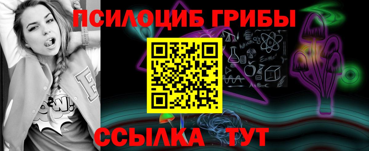 Псилоцибиновые грибы Psilocybine cubensis Верхняя Салда